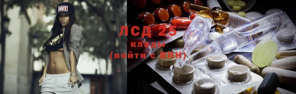 spice Бердск