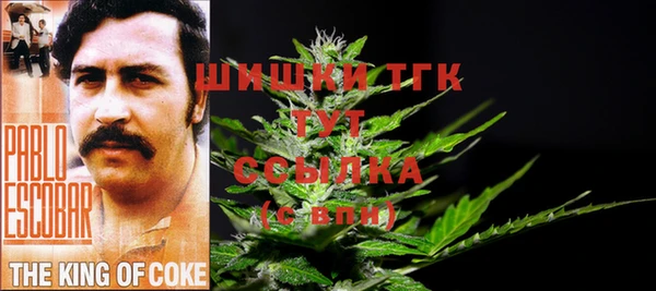 spice Бердск