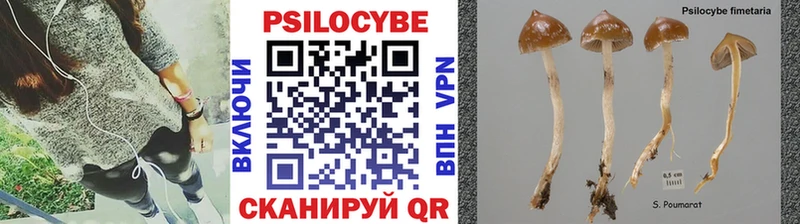 Галлюциногенные грибы ЛСД Мичуринск