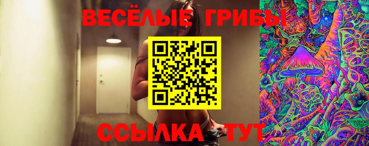 Галлюциногенные грибы ЛСД Мичуринск