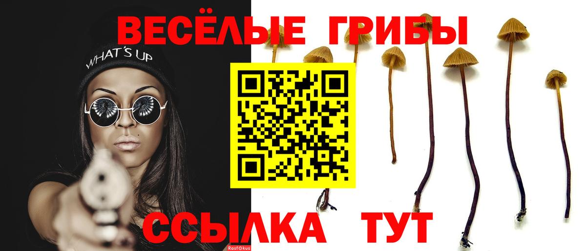 Мичуринск  Псилоцибиновые грибы мухоморы  Вход с VPN 